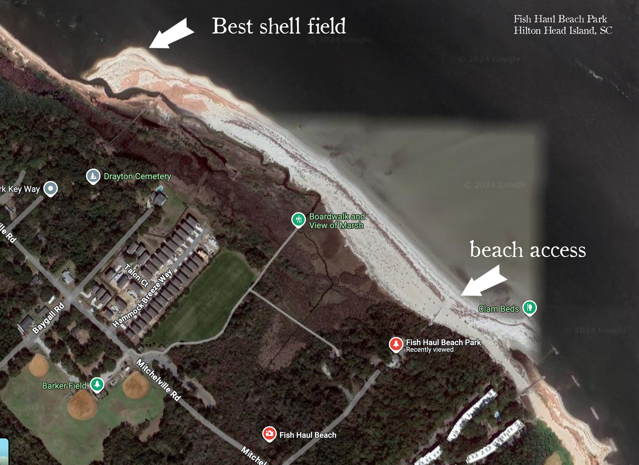 fish haul beach park shelling tips | hilton head island | miss mustard seed